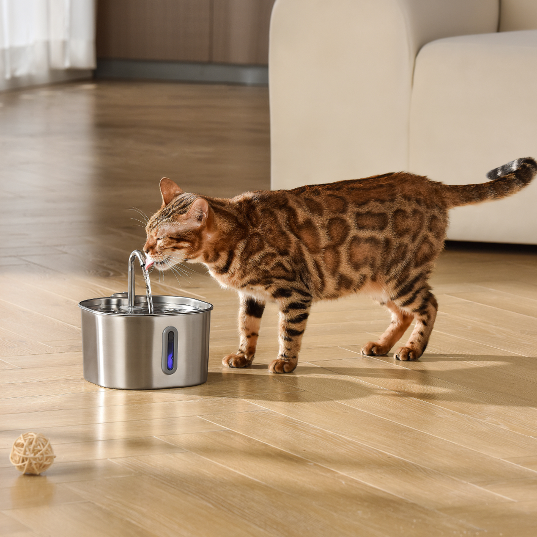 The KittySpout™ - 2.2L Fountain Health and Happiness Kit