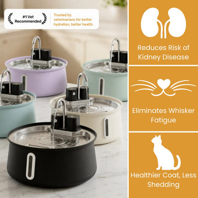 The KittySpout™ - Wireless Fountain 2.0