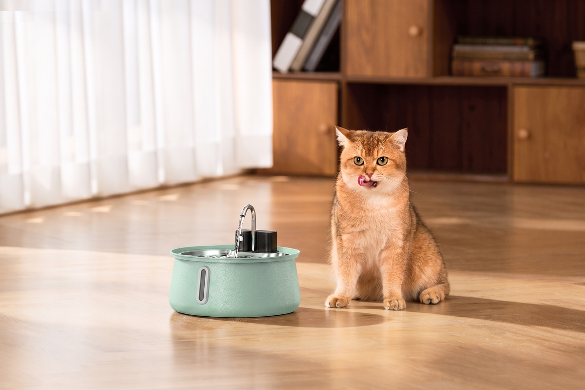 The KittySpout™ - Wireless Fountain 2.0