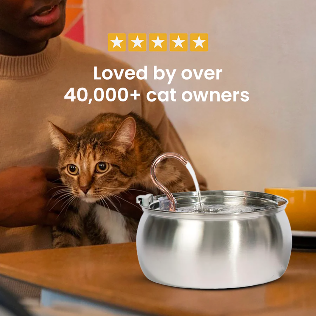 KittySpout Value Bundle
