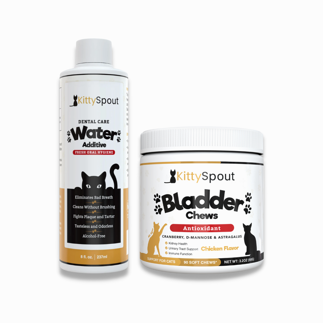 Hydration & Health Bundle