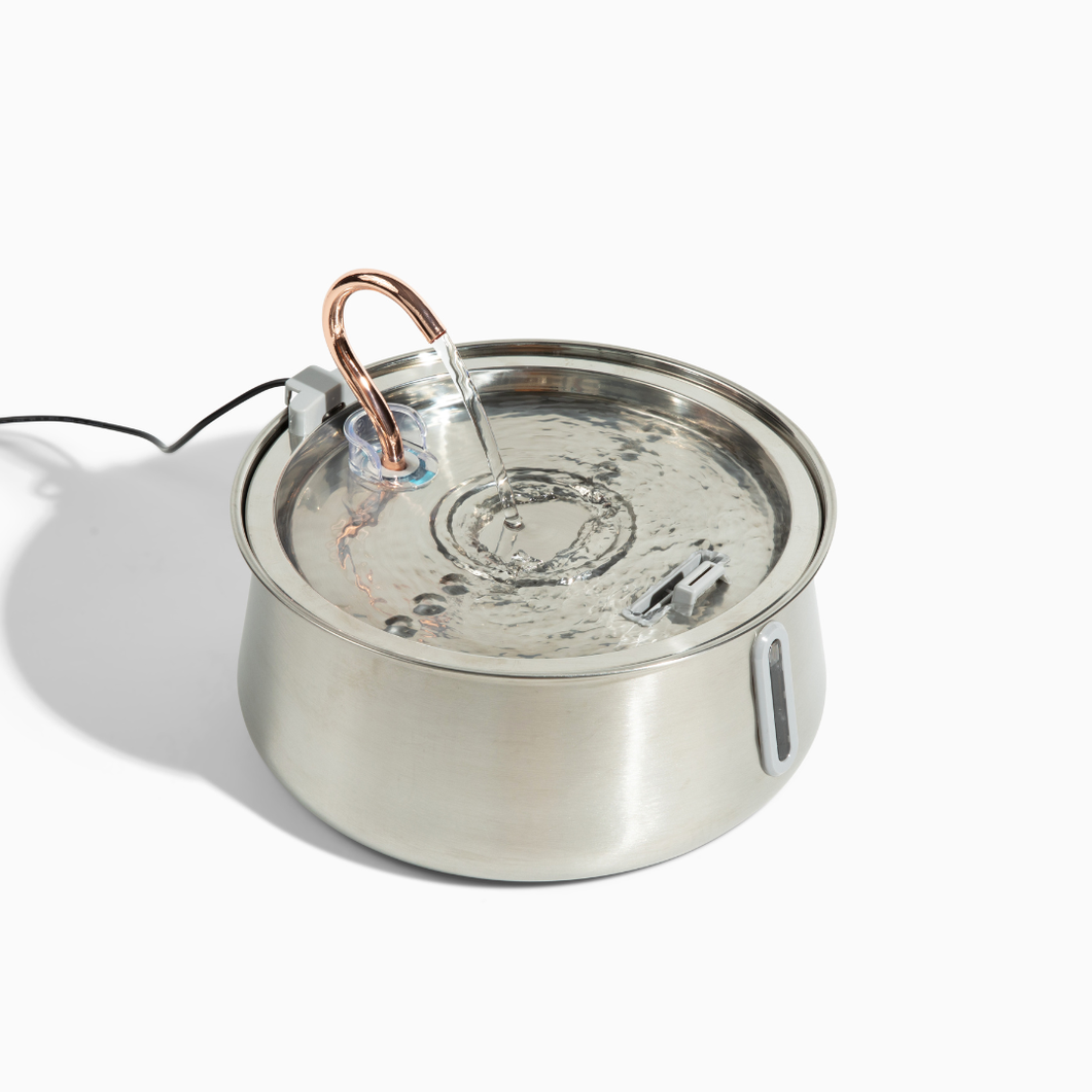 The KittySpout™ 2.0 - Health & Happiness Cat Kit