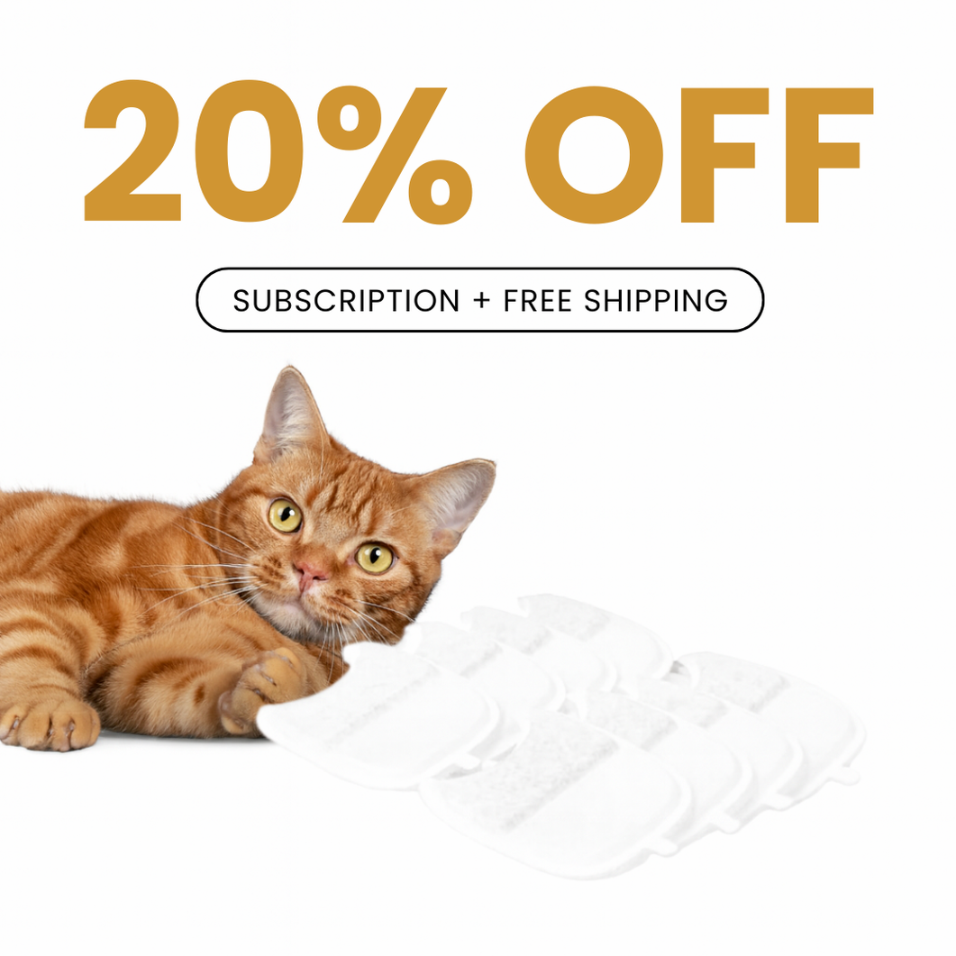 ks2-ks-WF_KS_Amazon_17.png