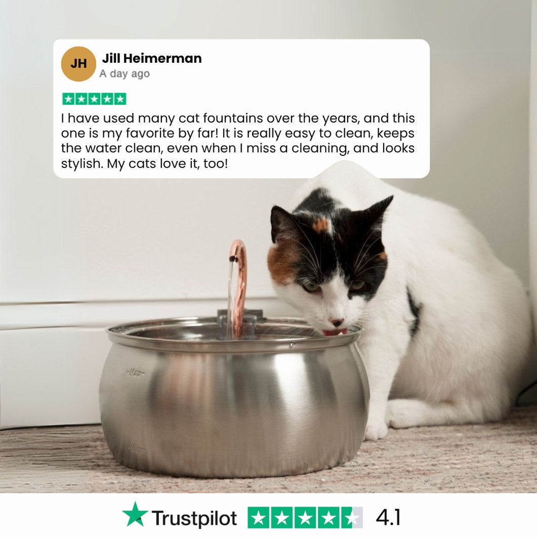 The KittySpout™ - Health & Happiness Cat Kit