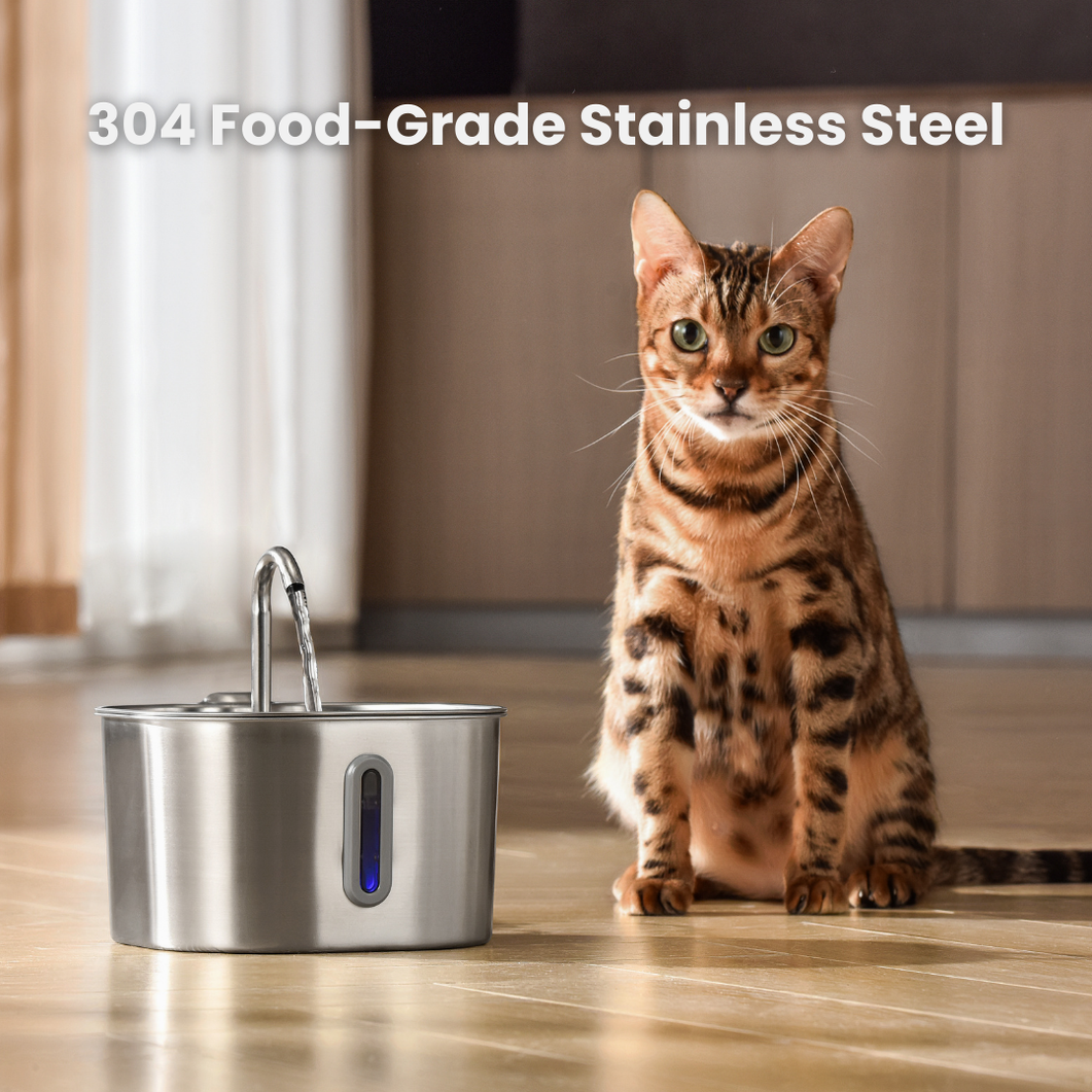 The KittySpout™ - 2.2L Big Cat Family Bundle
