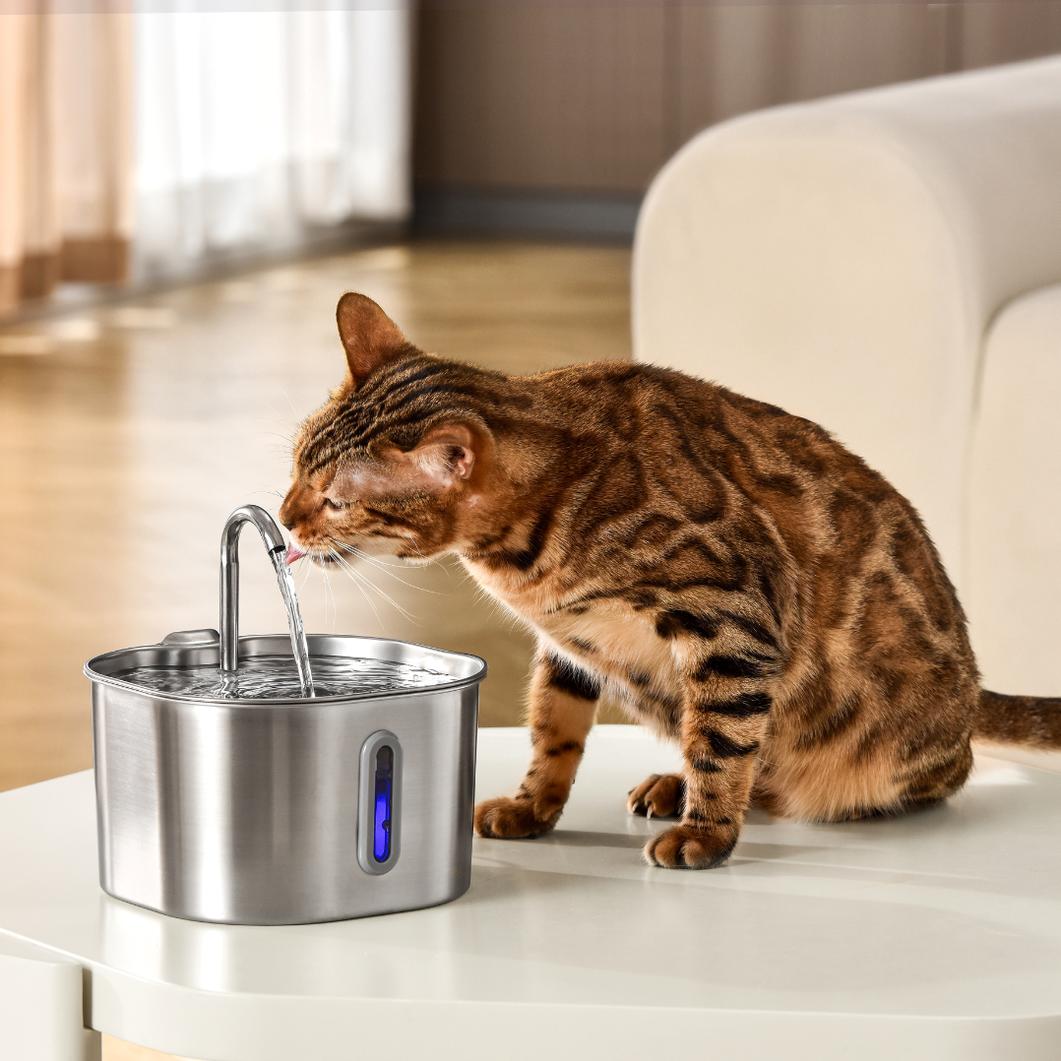 The KittySpout™ - 2.2L Hydration & Health Bundle
