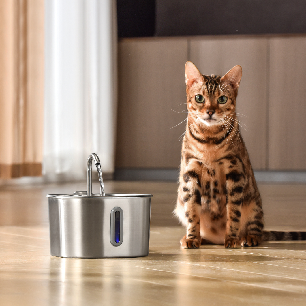 The KittySpout™ - 2.2L Hydration & Health Bundle