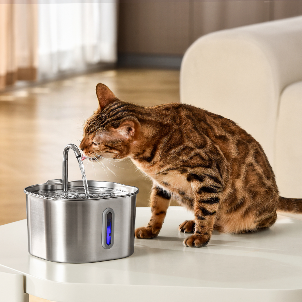 The KittySpout™ - 2.2L Value Bundle