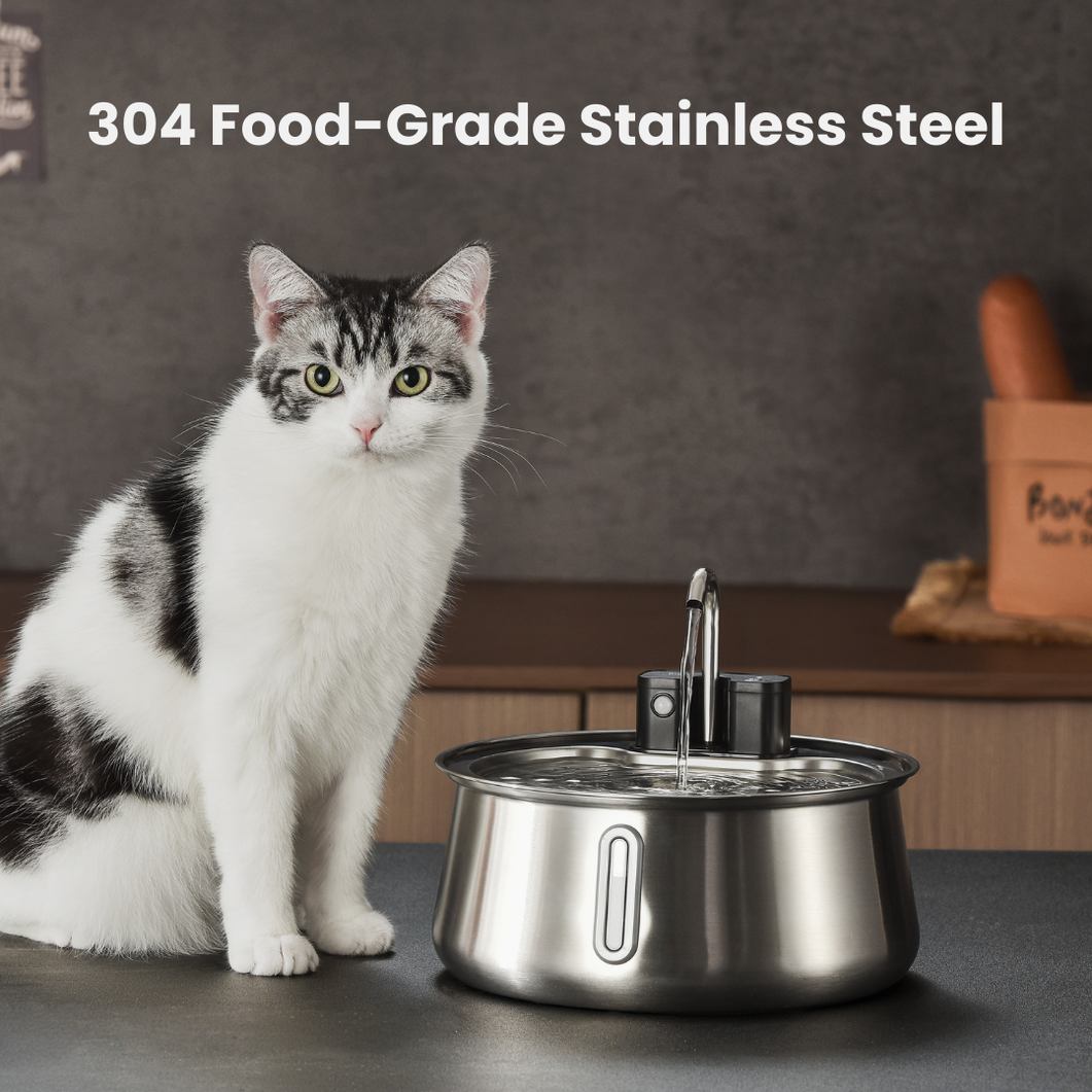 Wireless 2.0 Purrr-fect KittySpout Kit