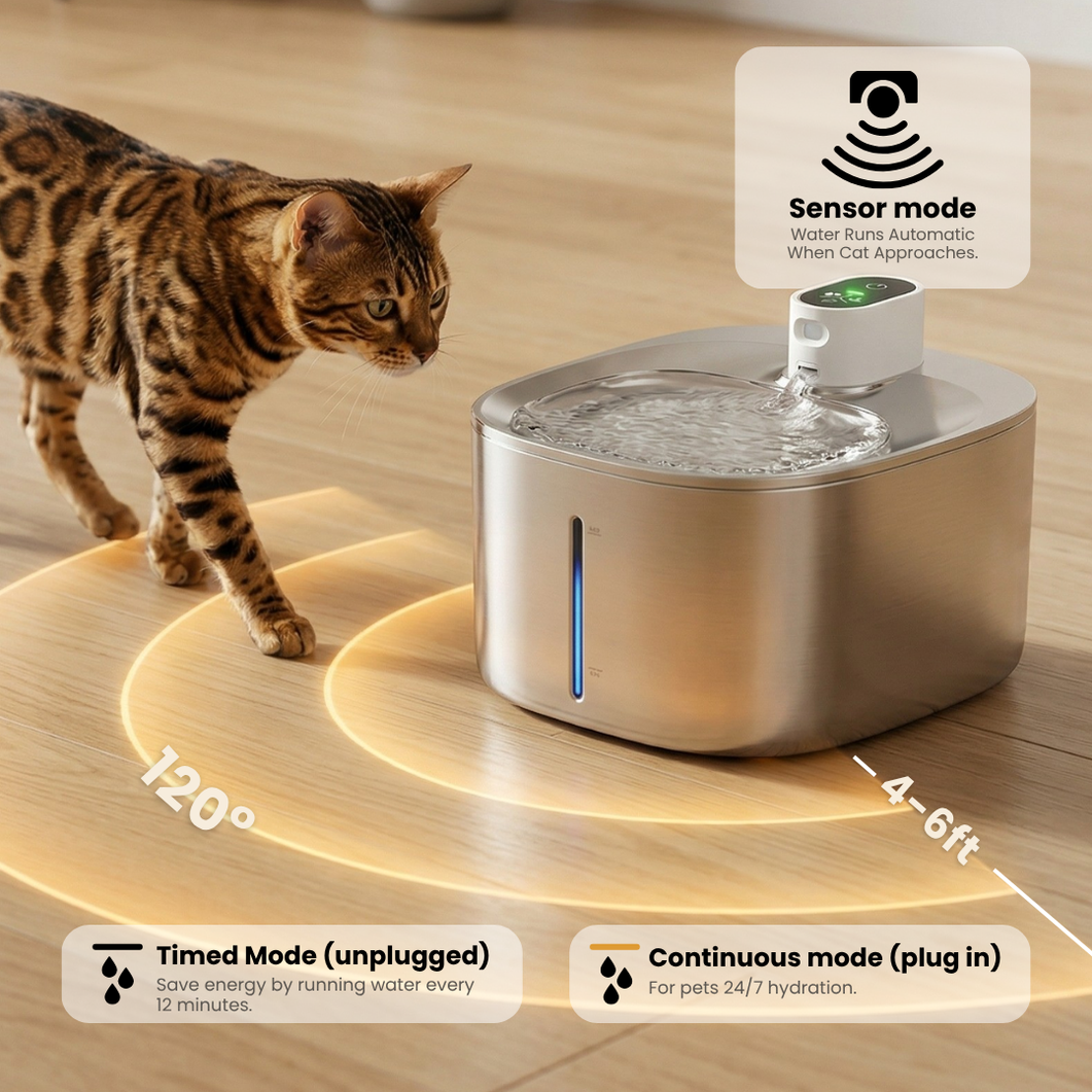 Wireless Big Cat Family Bundle