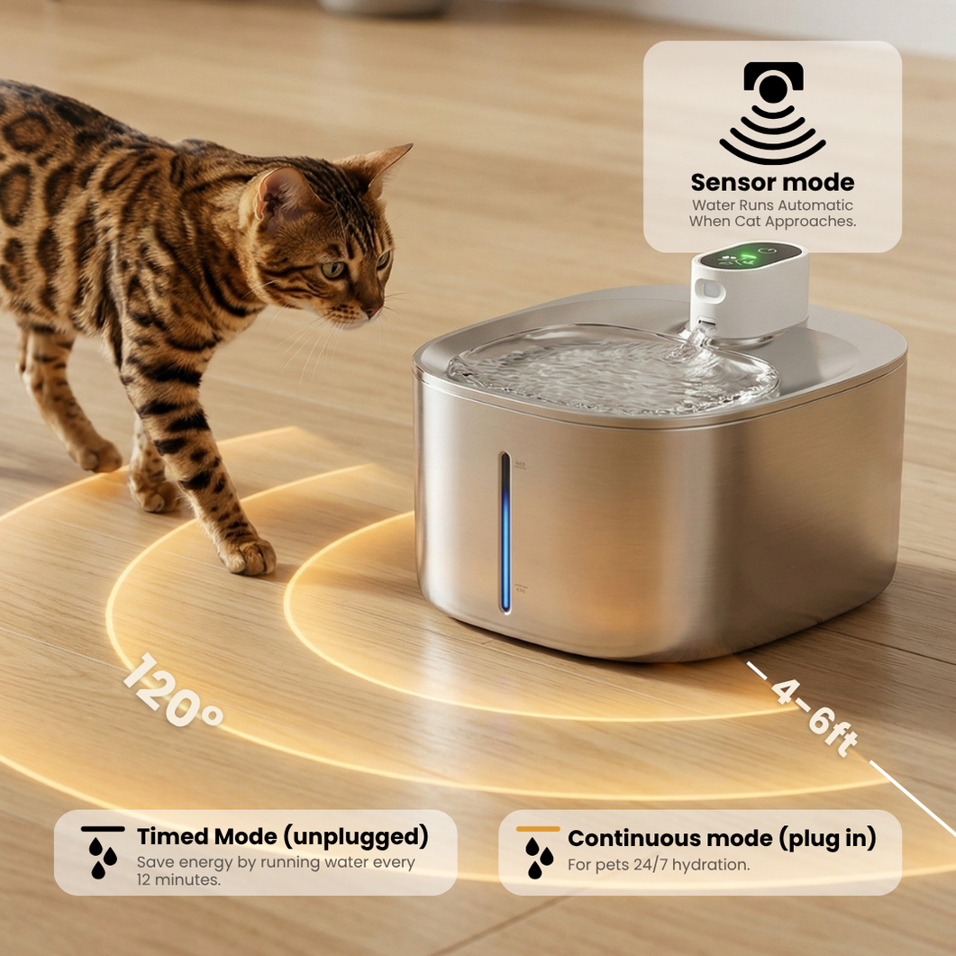 Wireless Hydration & Health Bundle