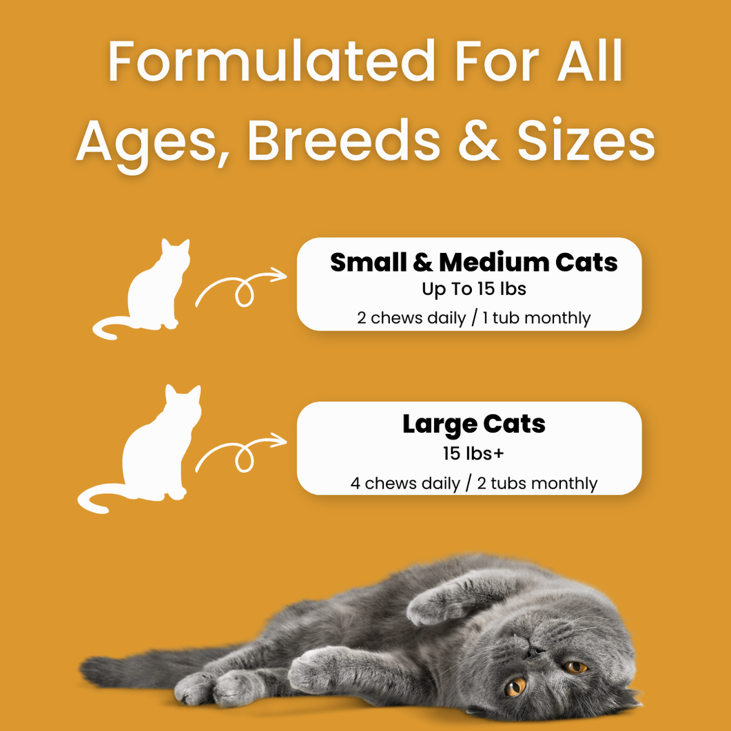 Bladder & Kidney Support Chews