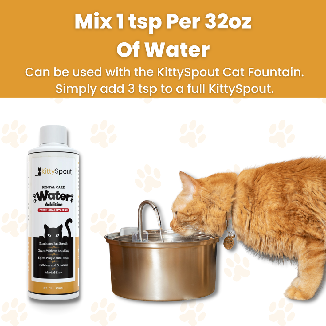 Dental Care Water Additive