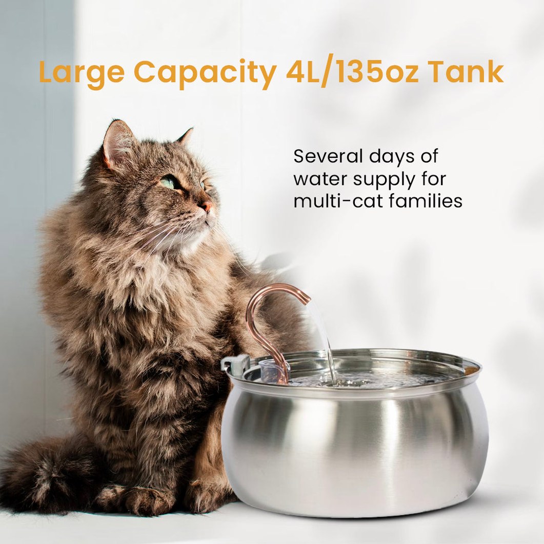 The Purrr-fect KittySpout Kit