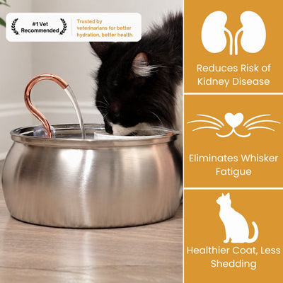 The KittySpout™ - Health & Happiness Cat Kit