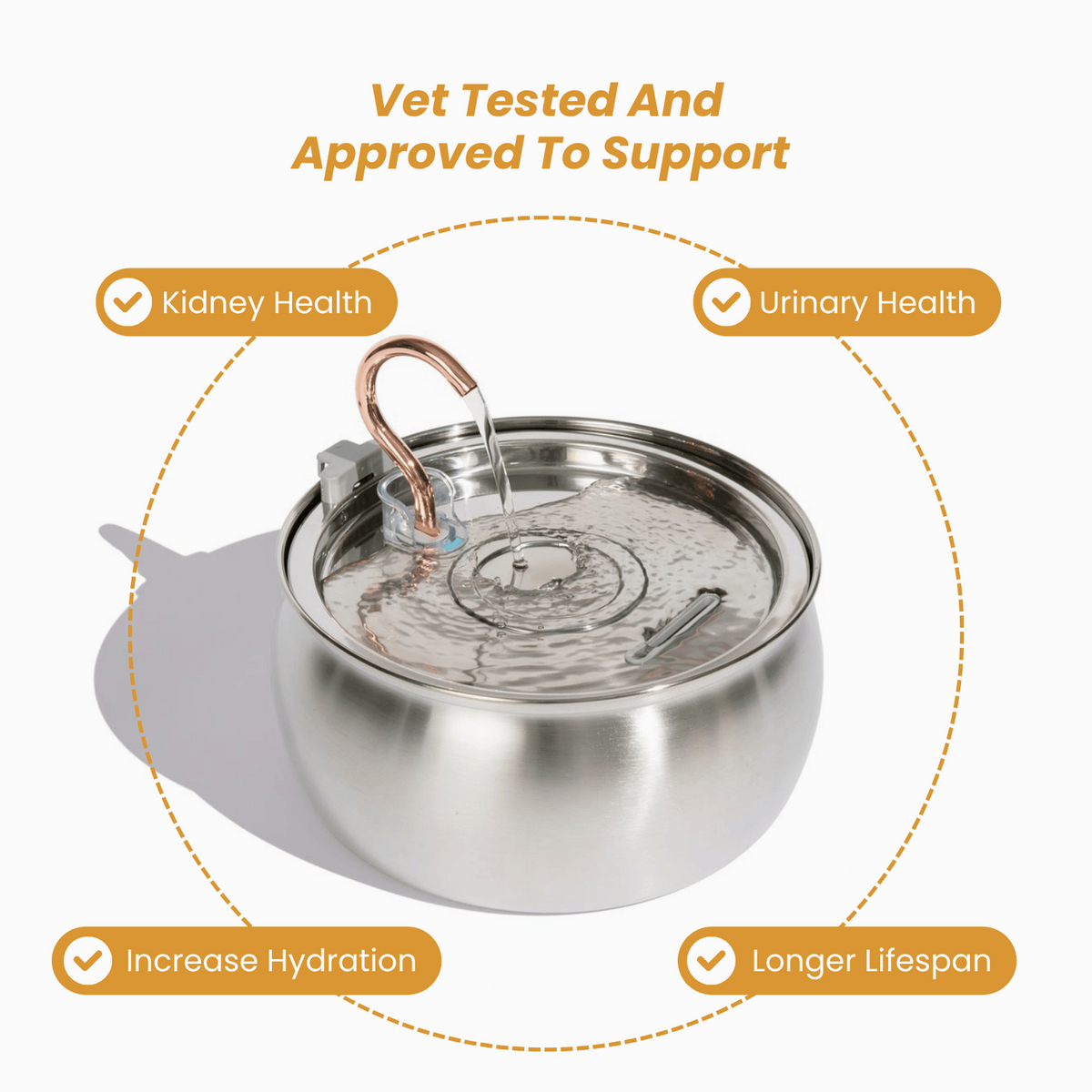 The KittySpout™ - Health & Happiness Cat Kit