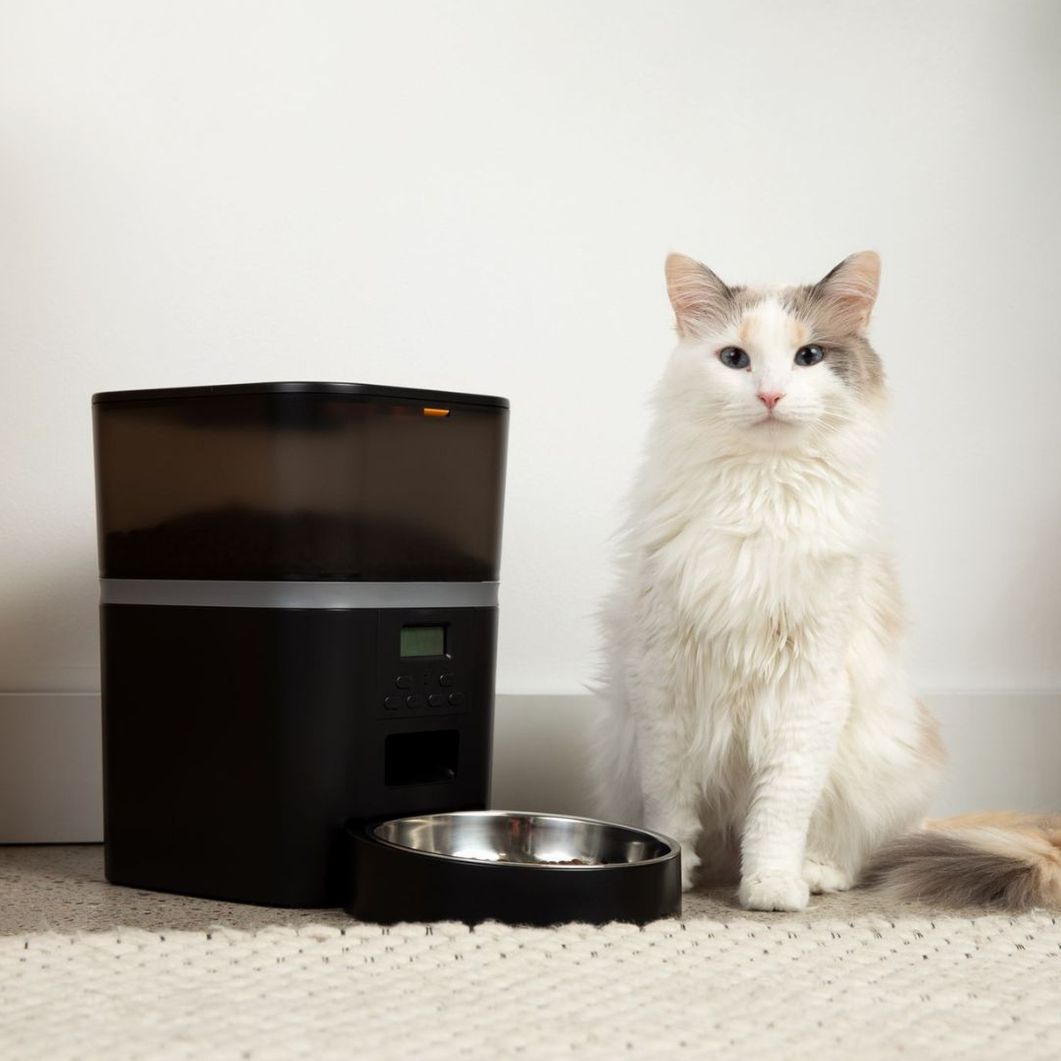 The KittyFeeder™ - Automatic Cat Feeder