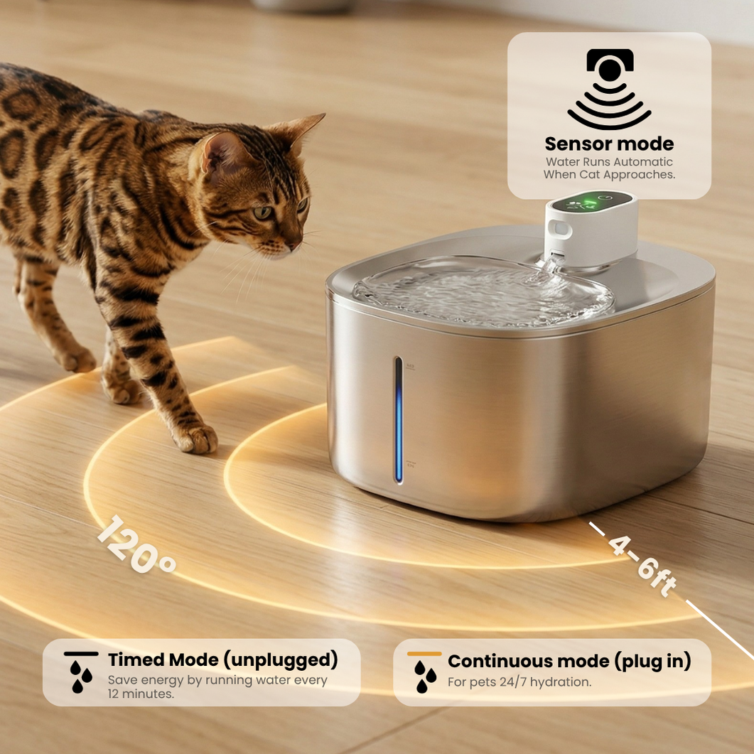 Wireless Hydration & Playtime Value Bundle