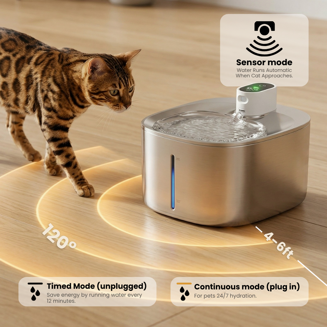 Wireless Purrr-fect KittySpout Kit